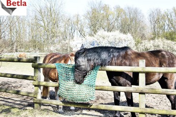Konie - hodowlane worki na siano dla koni